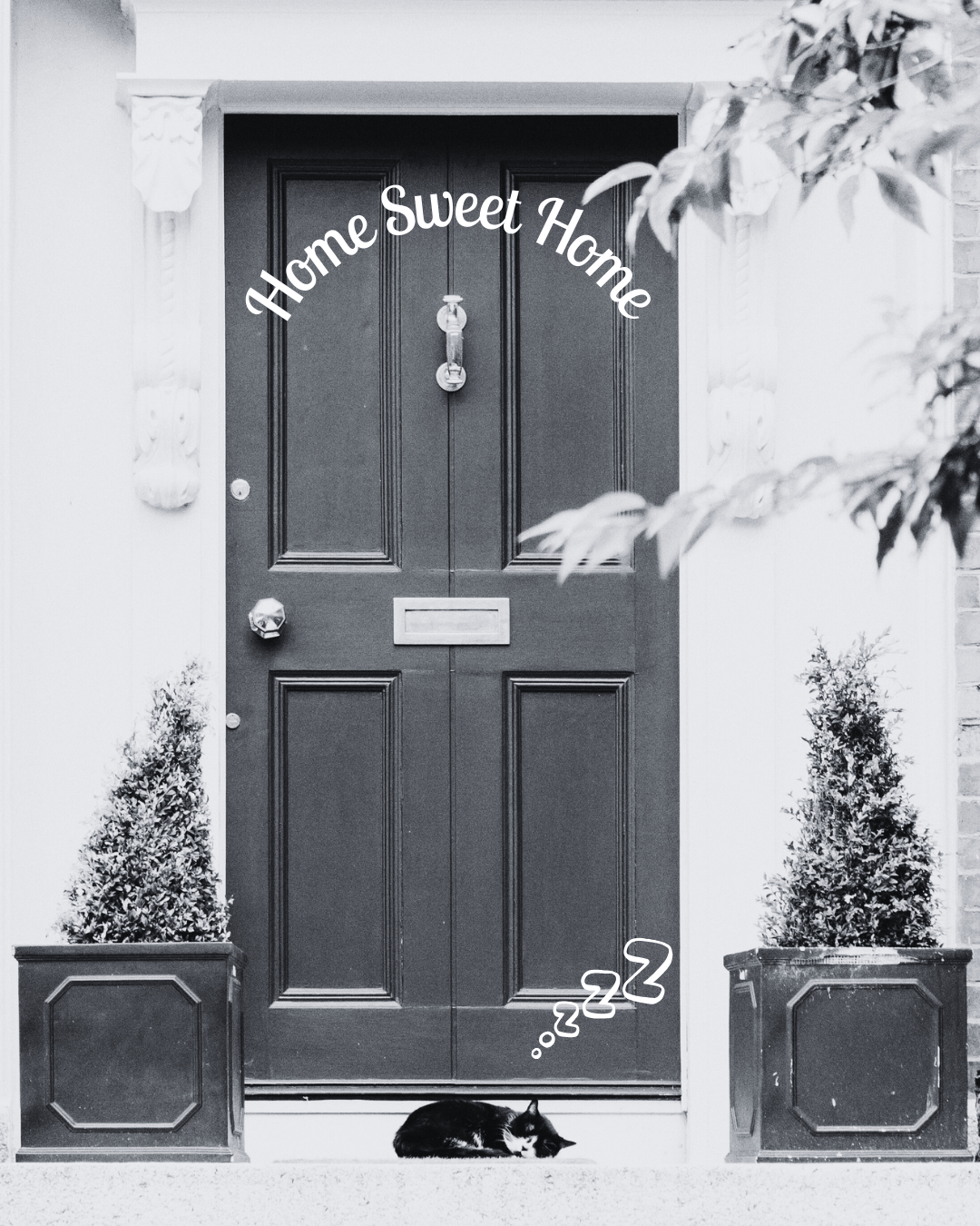 door with a cat outside, saying home sweet home, so someone has brought a house and is happy with it and the mortgage